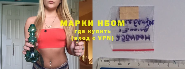крисы Новокубанск