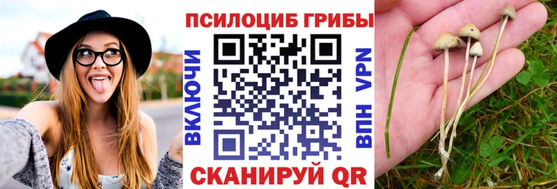 Галлюциногенные грибы GOLDEN TEACHER  Железногорск 